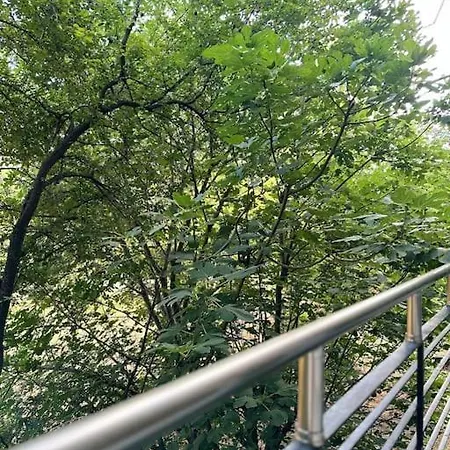 Elite Enclave Apartament *