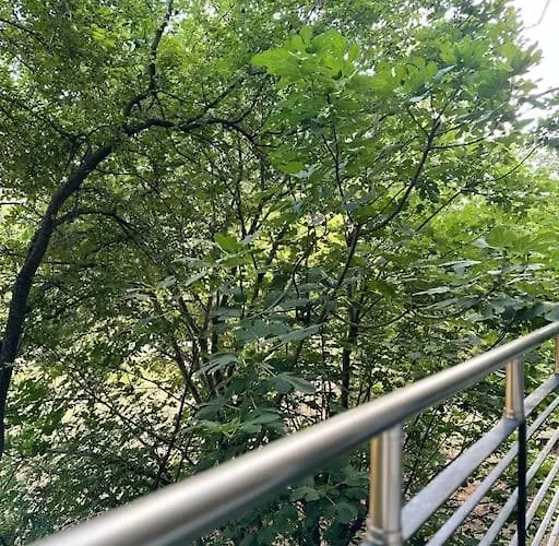 Elite Enclave Apartment *